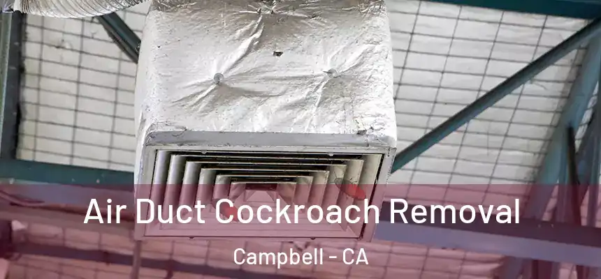  Air Duct Cockroach Removal Campbell - CA