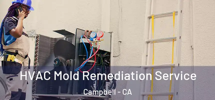  HVAC Mold Remediation Service Campbell - CA