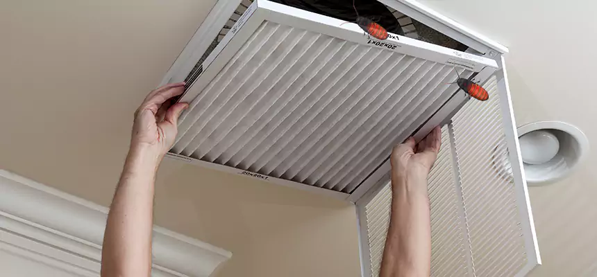 Preventive Cockroach-Proofing for Ducts in Campbell
