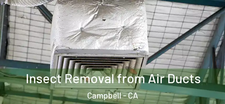  Insect Removal from Air Ducts Campbell - CA