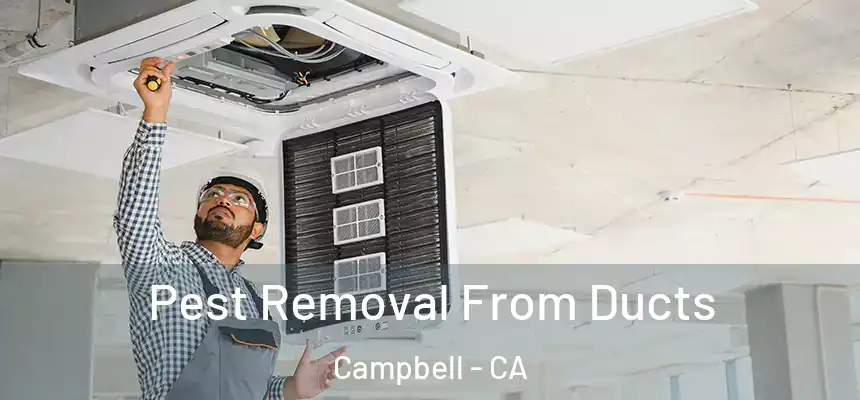  Pest Removal From Ducts Campbell - CA