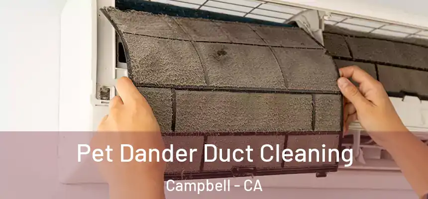 Pet Dander Duct Cleaning Campbell - CA