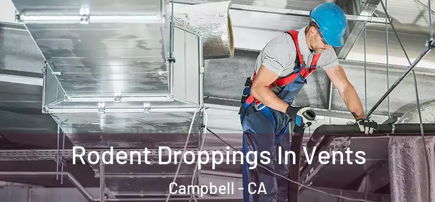 Rodent Droppings In Vents Campbell - CA