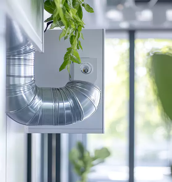 Professional Eco-Friendly Duct Cleaning Services in Campbell, CA