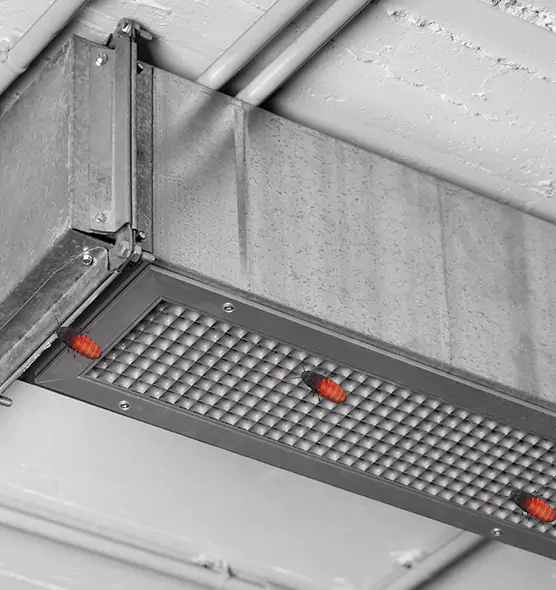 Affordable Insect Removal from Air Ducts in Campbell, CA