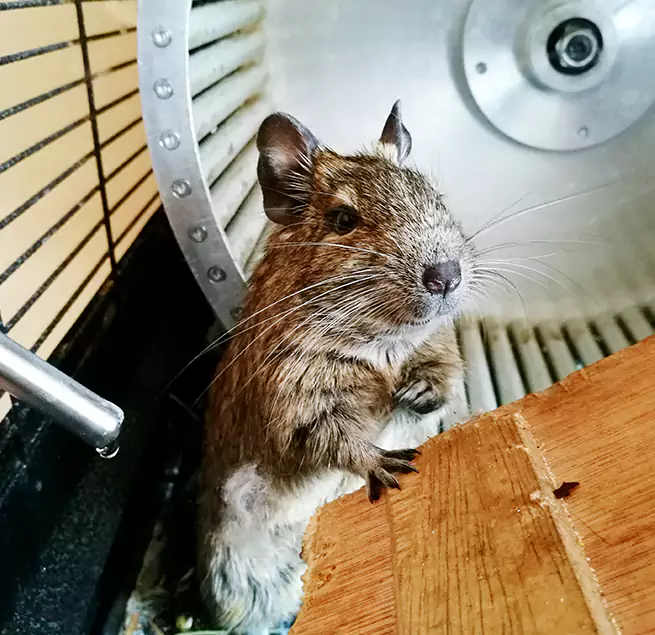 Why Homeowners & Businesses Trust Us Campbell, CA