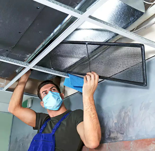 Why Homeowners Businesses Trust Us in Campbell, CA